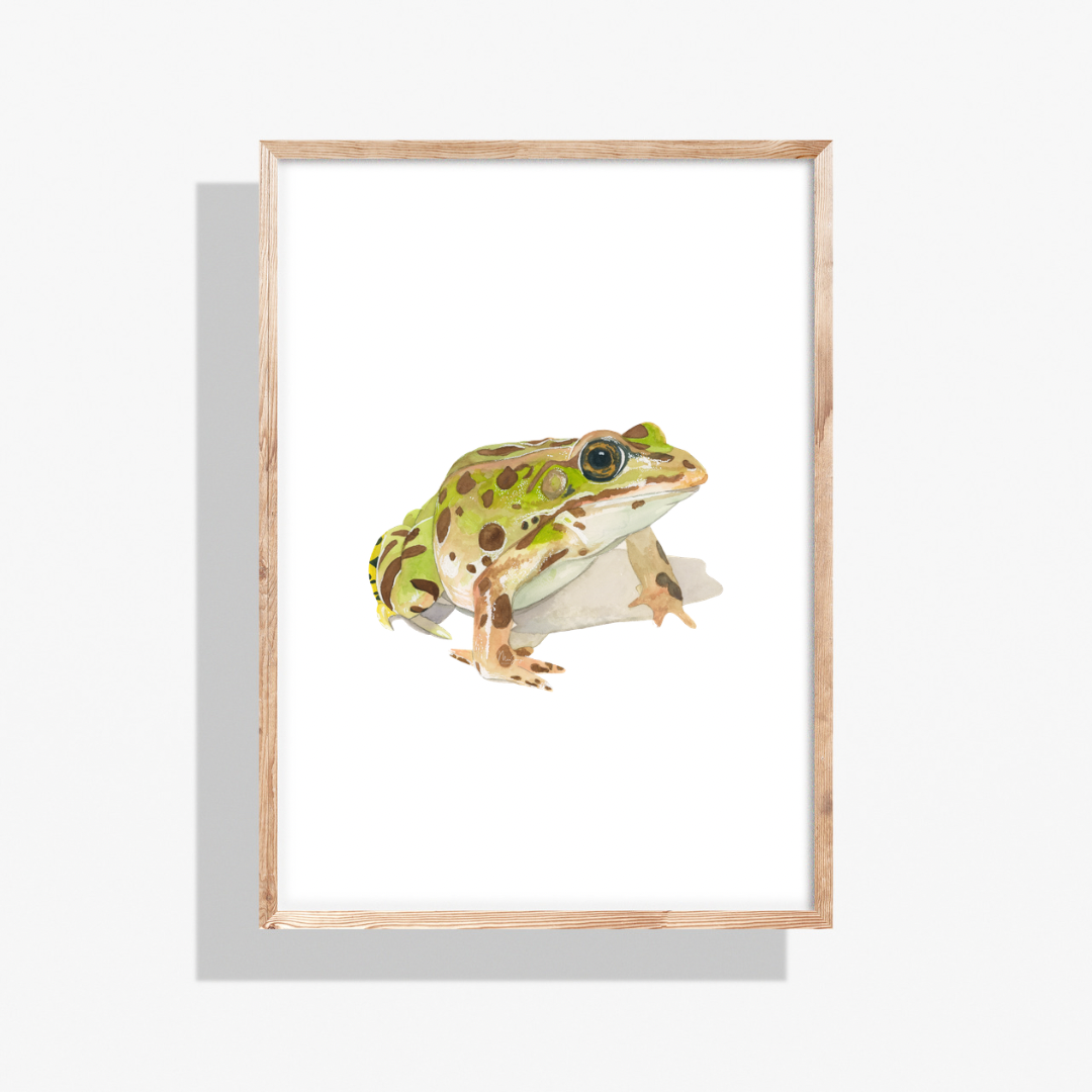 Prince in Disguise Frog | Art Print