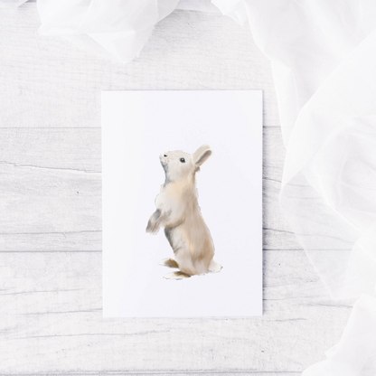 Bunny Rabbit Card