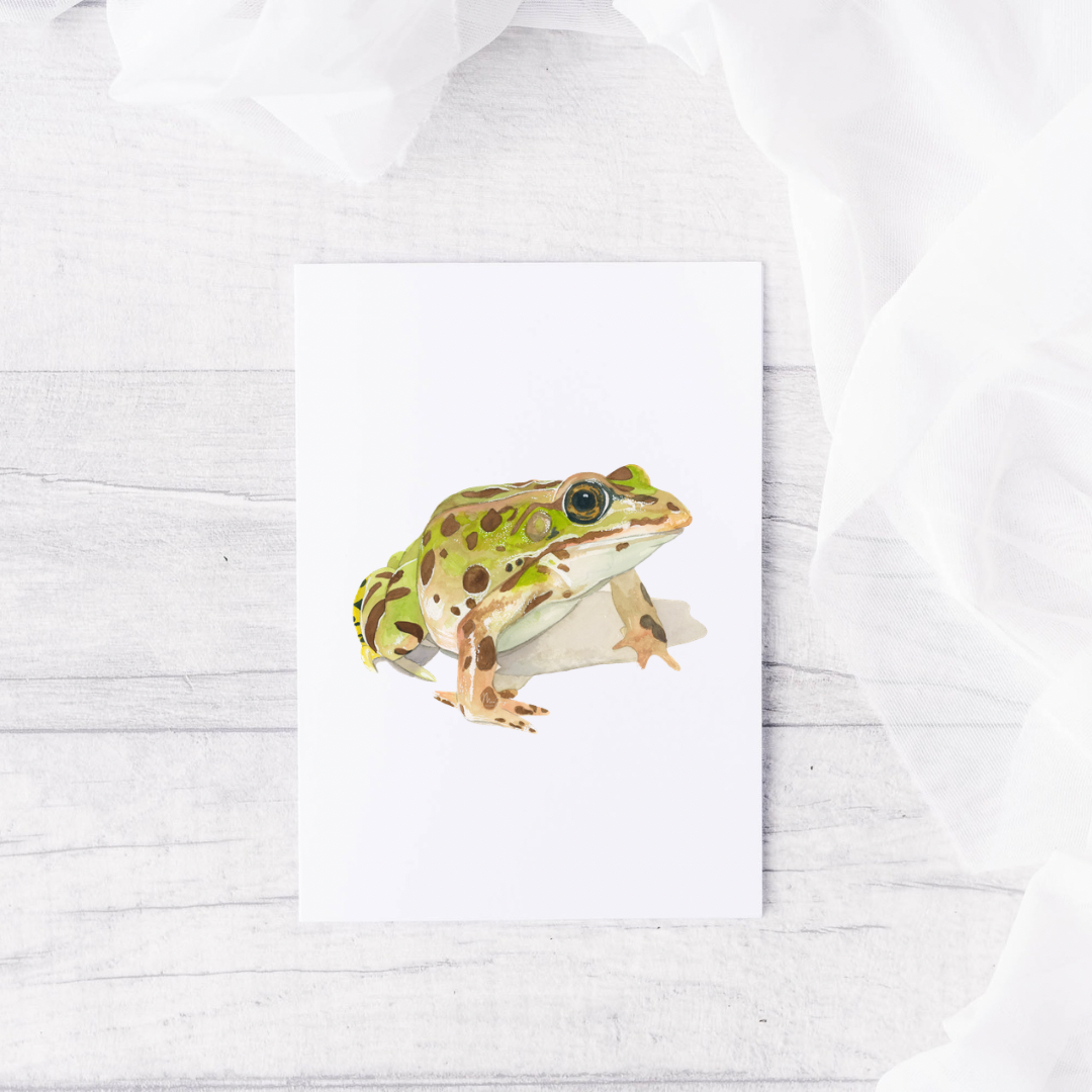 Prince in Disguise Frog Card