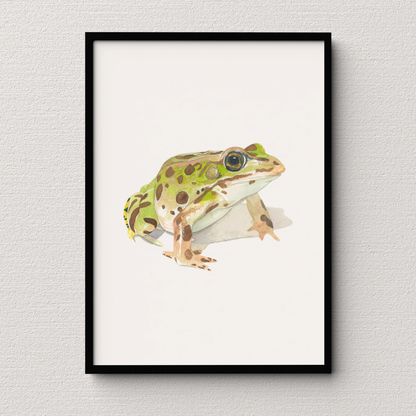 Prince in Disguise Frog | Art Print